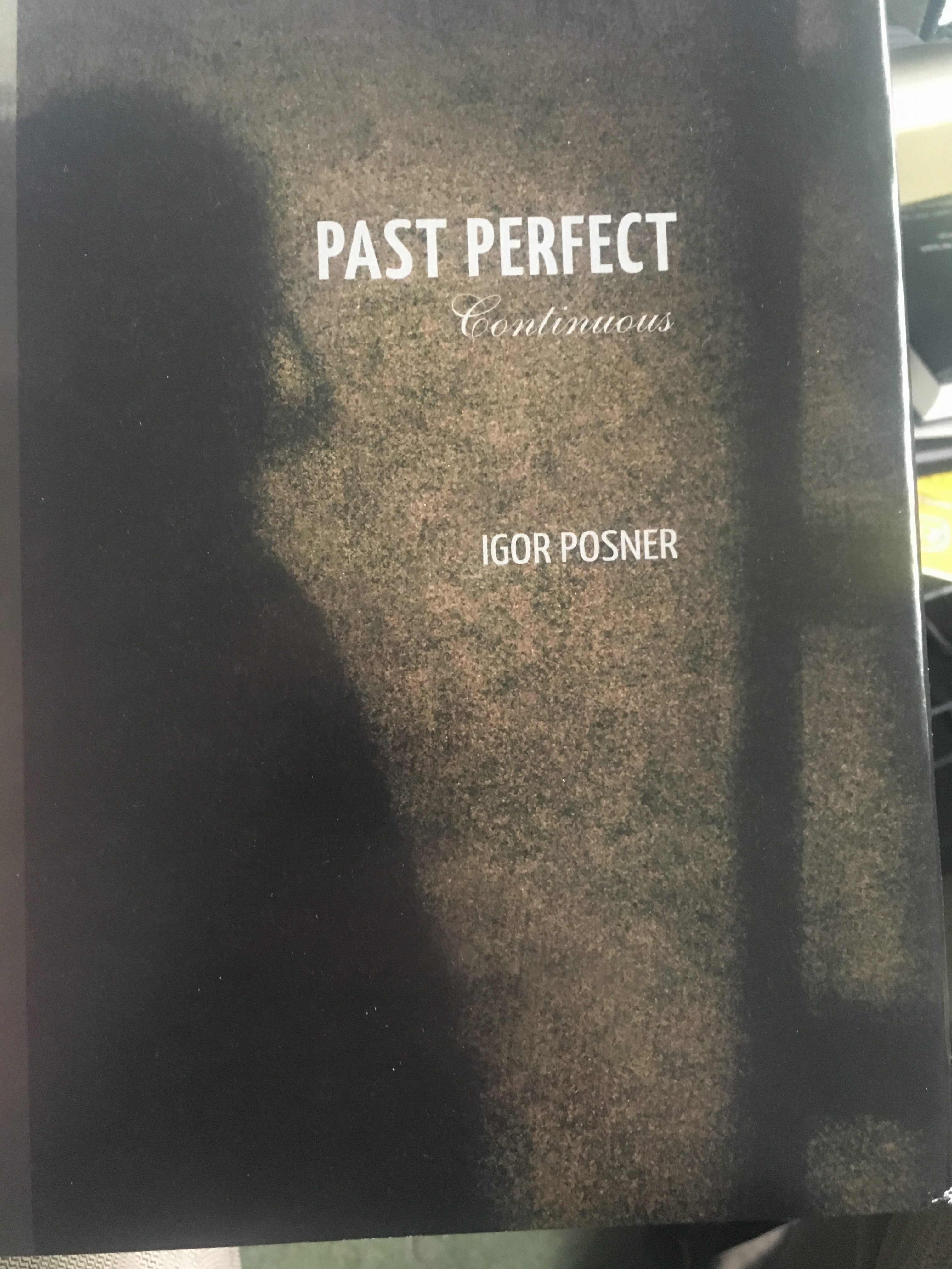 Past Perfect Book Cover